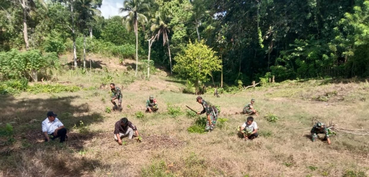 Mencegah Banjir di Lahan Gundul, Koramil 1416-05/Kabawo Bersama Warga Tanam Pohon
