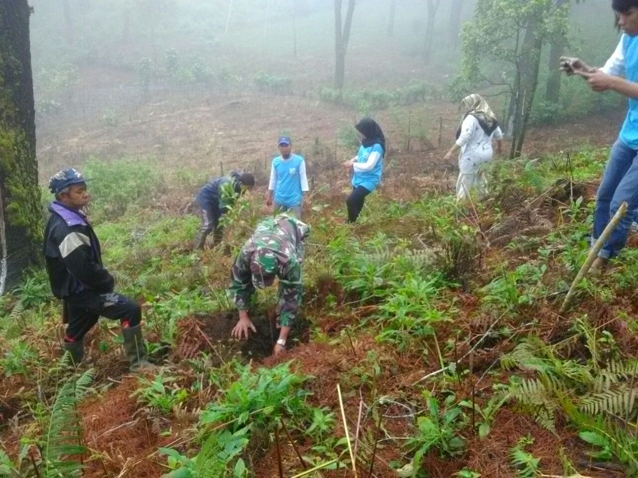 Lestarikan Alam, Koramil 1409-04/Tinggimoncong Karya Bakti Penanaman Pohon