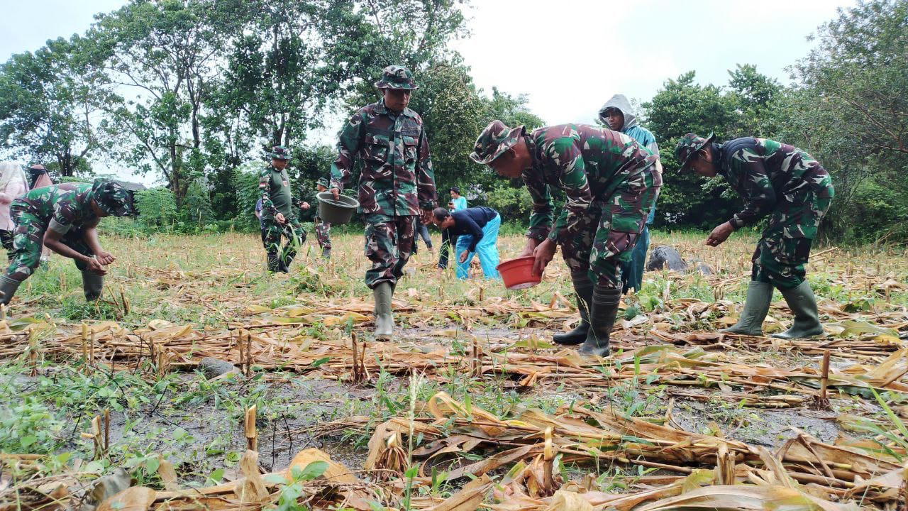 Dandim 1405/Parepare bersama Personil Koramil 1405-08/Tanete Riaja, Kadis Pertanian dan Ketahanan Pangan, melaksanakan Penanaman jagung.