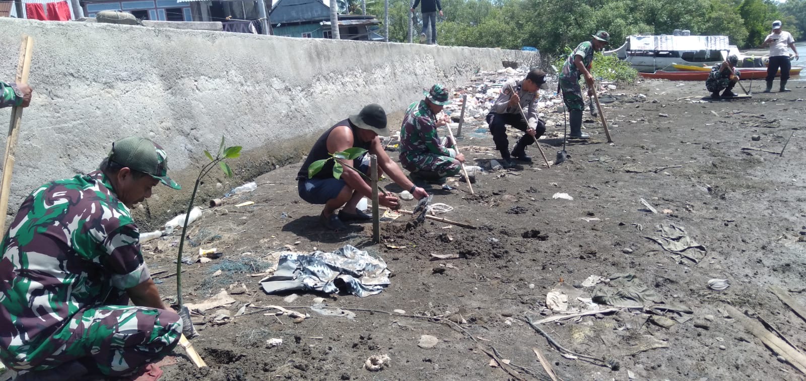 Lestarikan Hutan Mangrove, W.s Danramil 1411-07/Herlang Ungkap Manfaatnya