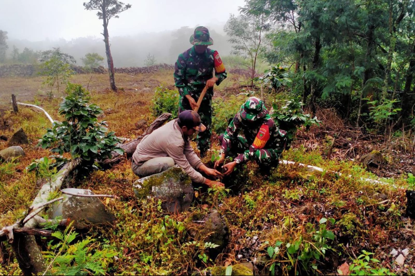 Lestarikan Fungsi Lingkungan Hidup, Koramil 1425-04 Kelara Gelar Karya Bakti Penanaman Pohon