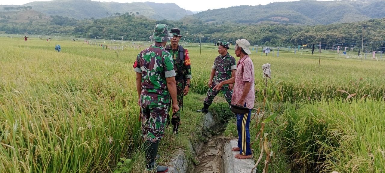 Danramil 1405-03/Bacukiki,"Survey Sumber Air untuk Program Pompanisasi/Pipanisasi Lahan Persawahan"