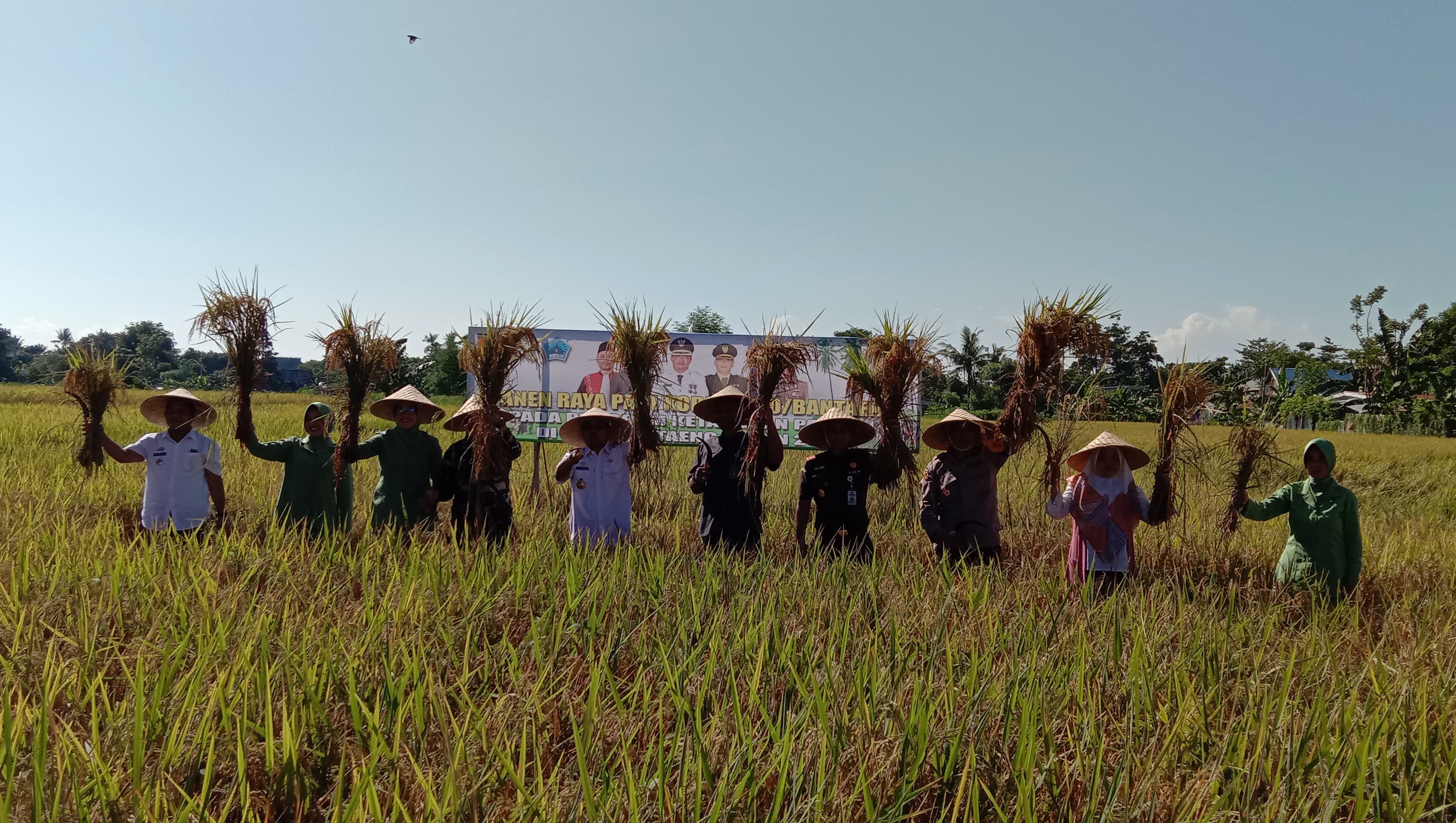 Perkuat Ketahanan Pangan, Kodim 1410 Bantaeng bersama Forkopimda Panen Raya Padi