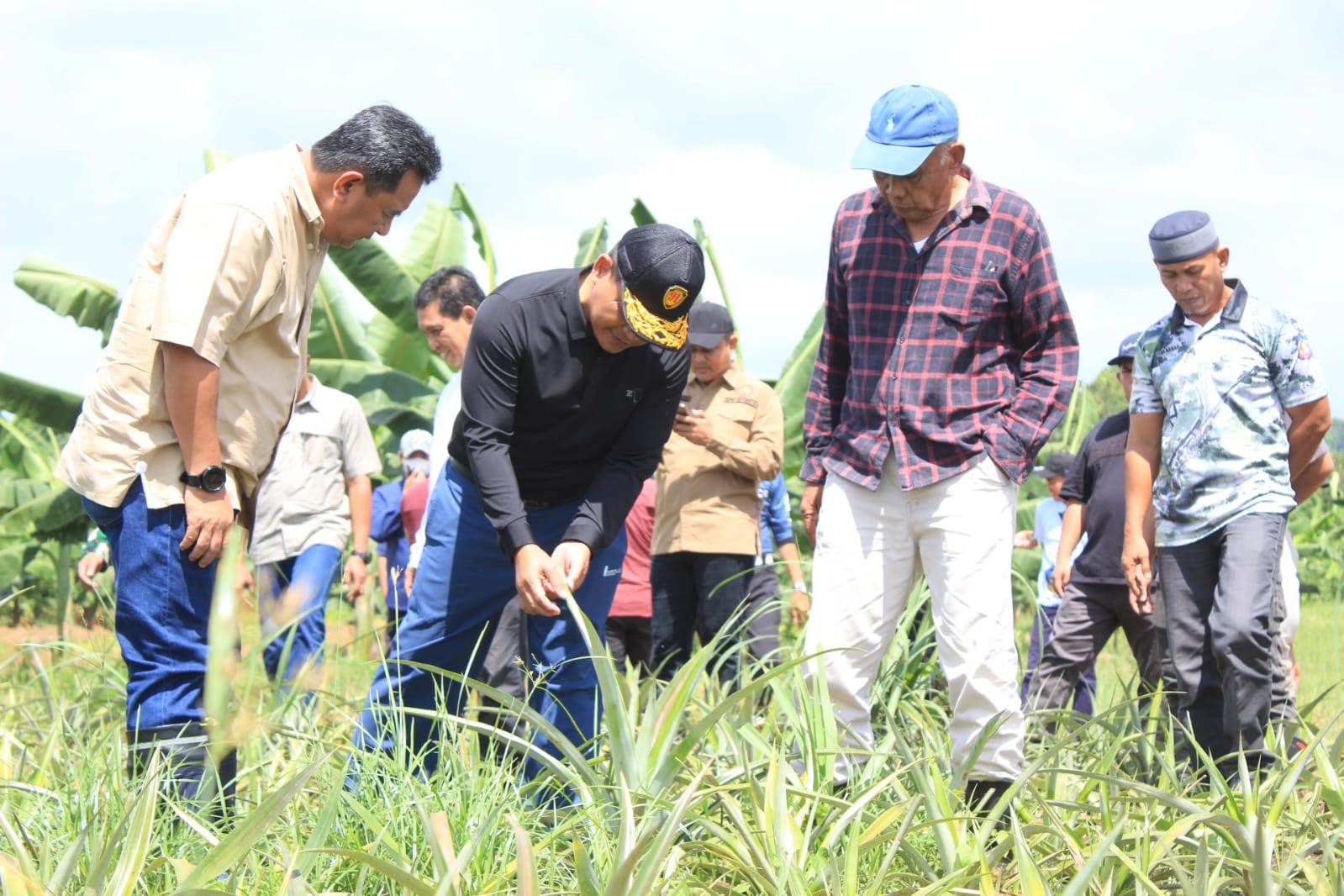 Danrem 141/Tp Bersama Pj. Gubernur Sulsel Mengecek Stabilisasi Pasokan dan Harga Pangan Serta Meninjau Lokasi Budidaya Pisang Cavendish dan Lahan Tanaman Nanas