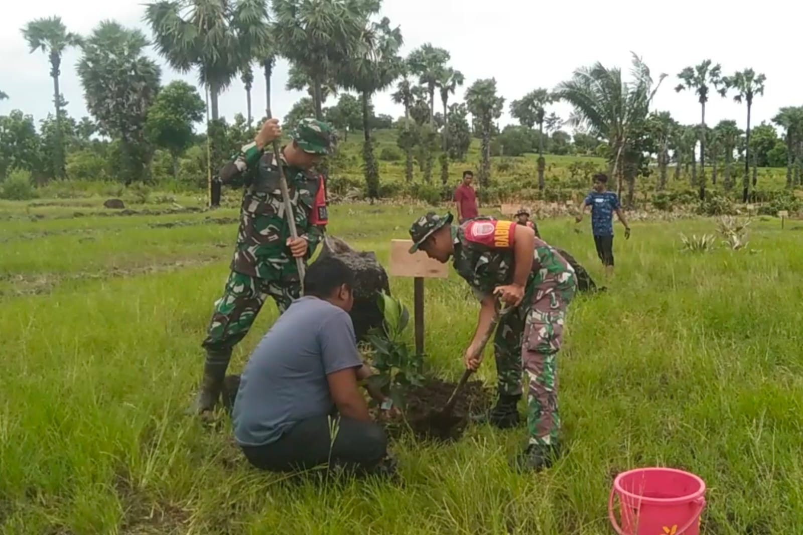 Lestarikan Fungsi Lingkungan Hidup, Babinsa Kodim Jeneponto Lakukan Penanaman Pohon