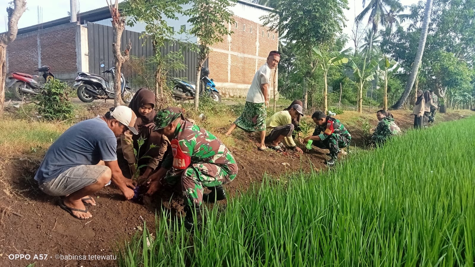 Peduli Lingkungan Anggota Koramil 03/Lilirilau Beserta Siswa-Siswi SMP Negri 1 Lilirilau Melaksanakan Penghijauan Penanaman Pohon