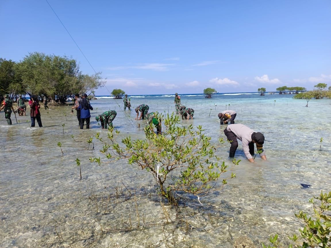 Koramil Sendana Bersama Masyarakat Lakukan Penanaman Pohon Mangrove Sebagai Upaya Mencegah Abrasi Pantai