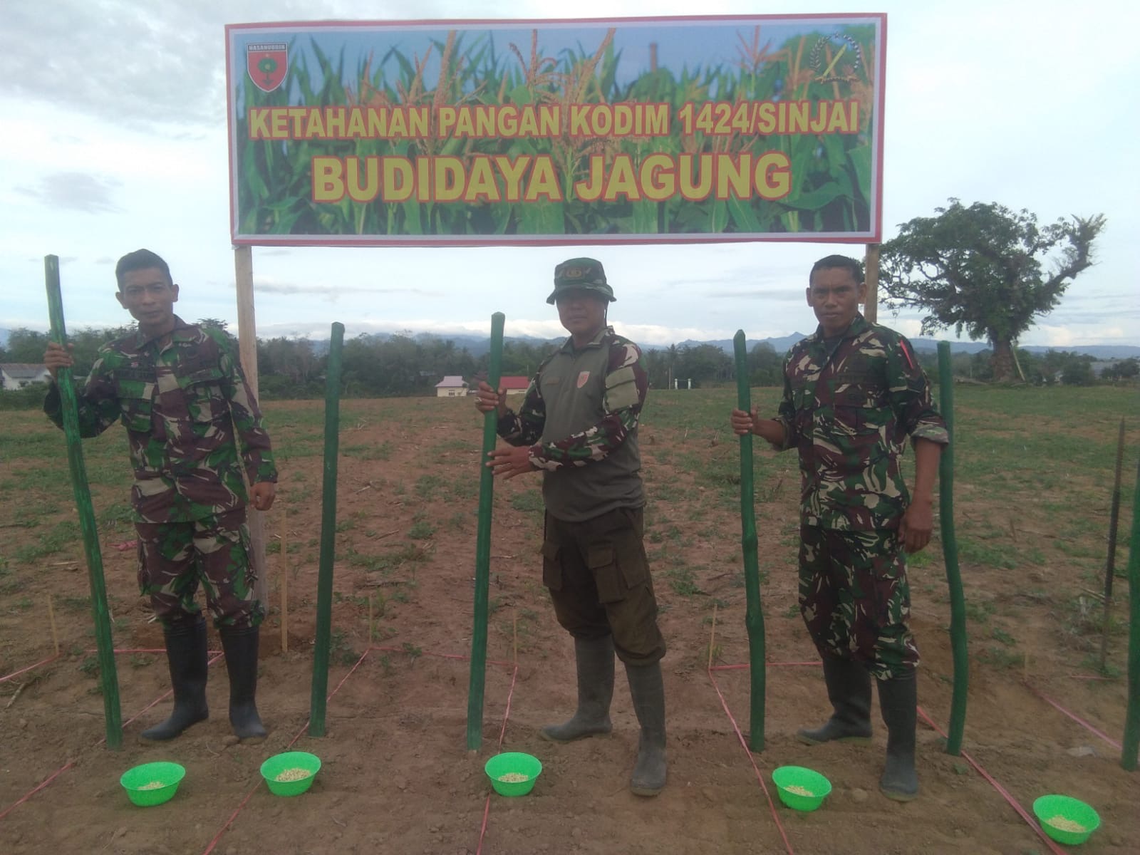 Wujudkan Swasembada Pangan, Personel Koramil 1424-01/Sinjai Utara Melakukan Pemeliharaan Tanaman Jagung