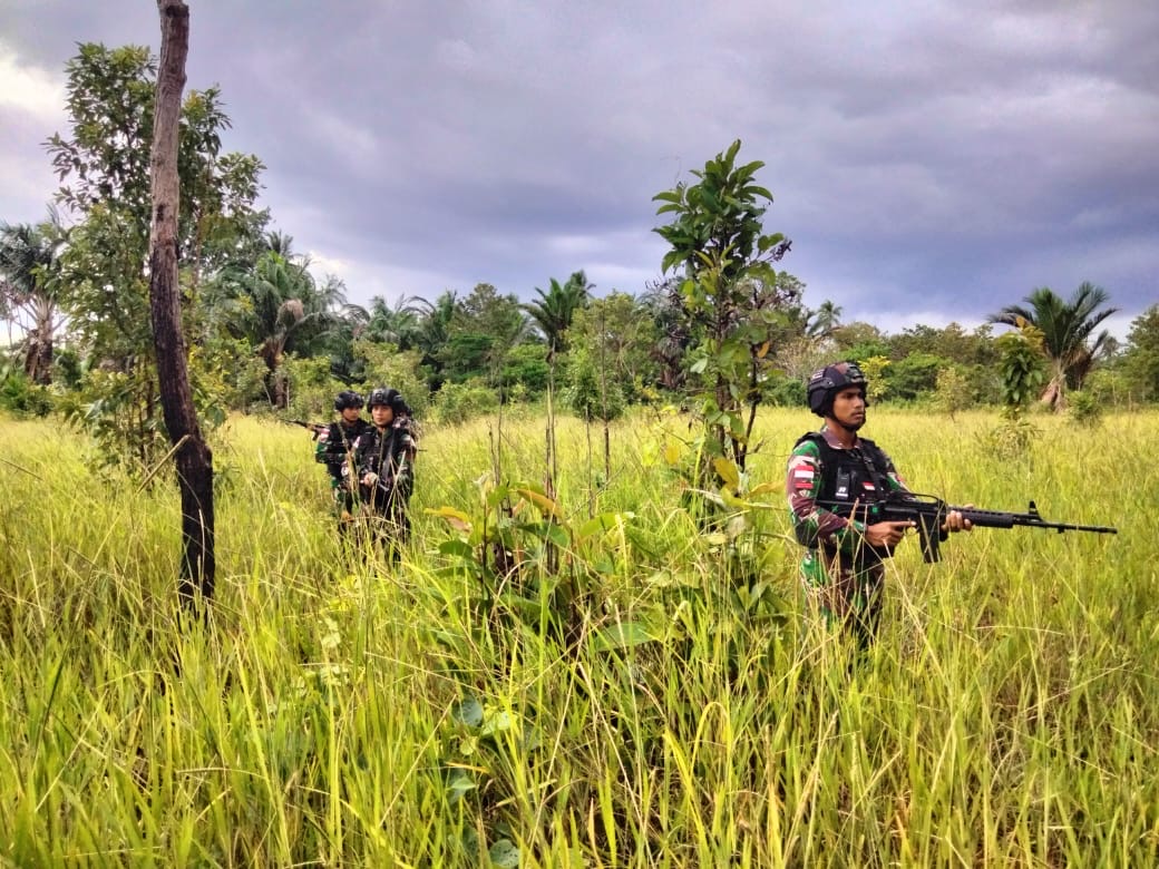 Selain Untuk Memastikan Kedaulatan dan Keutuhan NKRI, Patroli di Wilayah Perbatasan RI-PNG Dapat Memelihara Naluri Tempur Prajurit Tamalatea