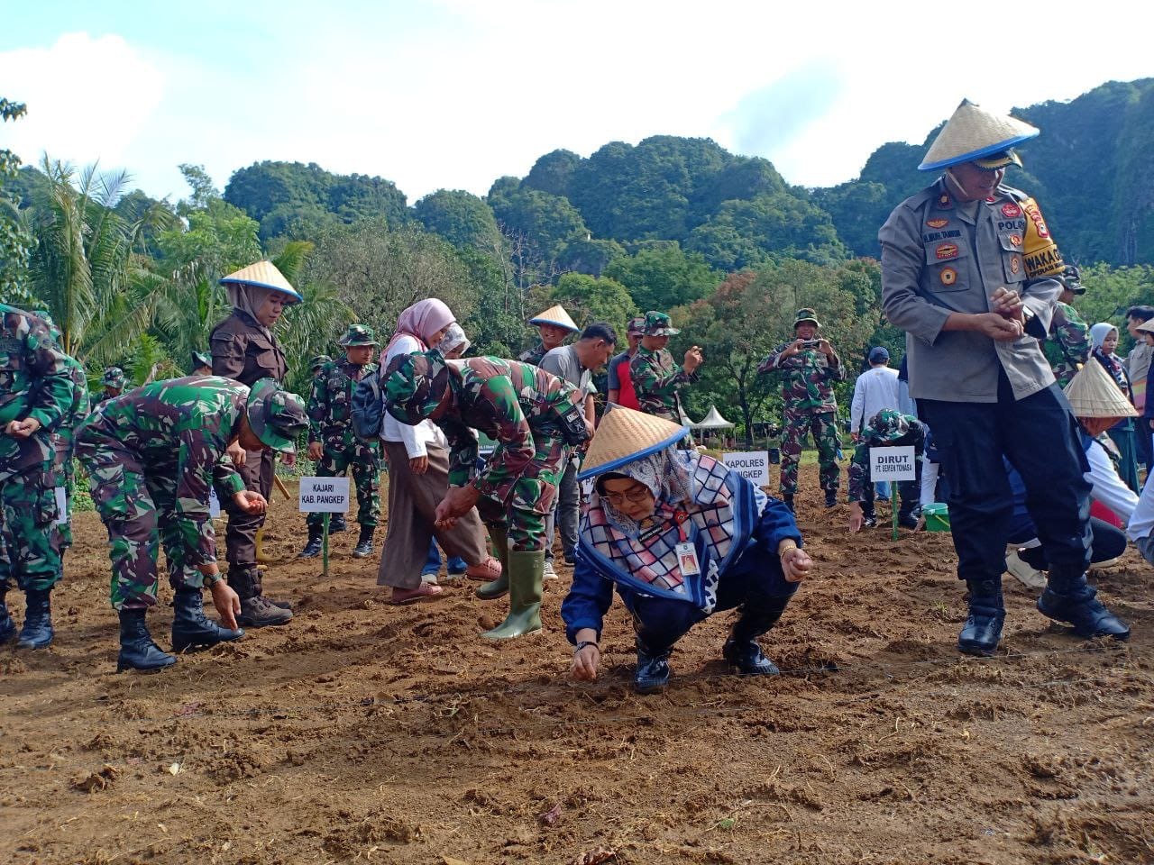Dukung Ketahanan Pangan, Kodim 1421/Pangkep Manfaatkan Lahan Tidur Tanam Jagung.