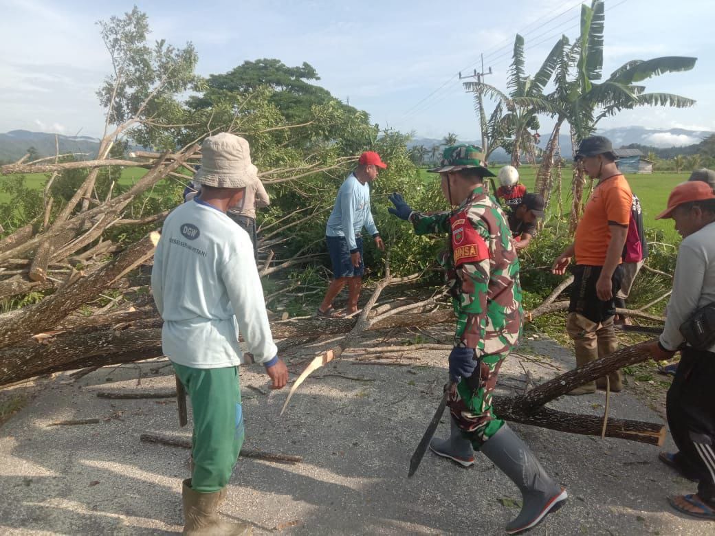 Beri Kenyamanan Bagi Pengendara, Koramil Bersama Warga Bergerak Antisipasi Pohon Tumbang
