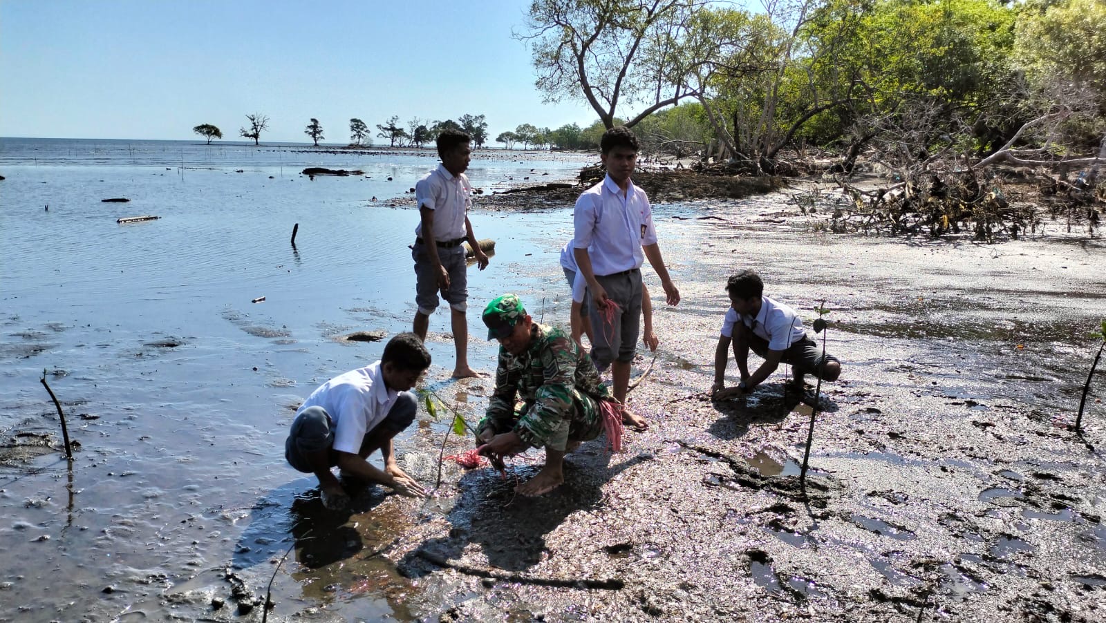 Babinsa Desa Bontona Saluk Ajak Anak Sekolah Tanam Mangrove