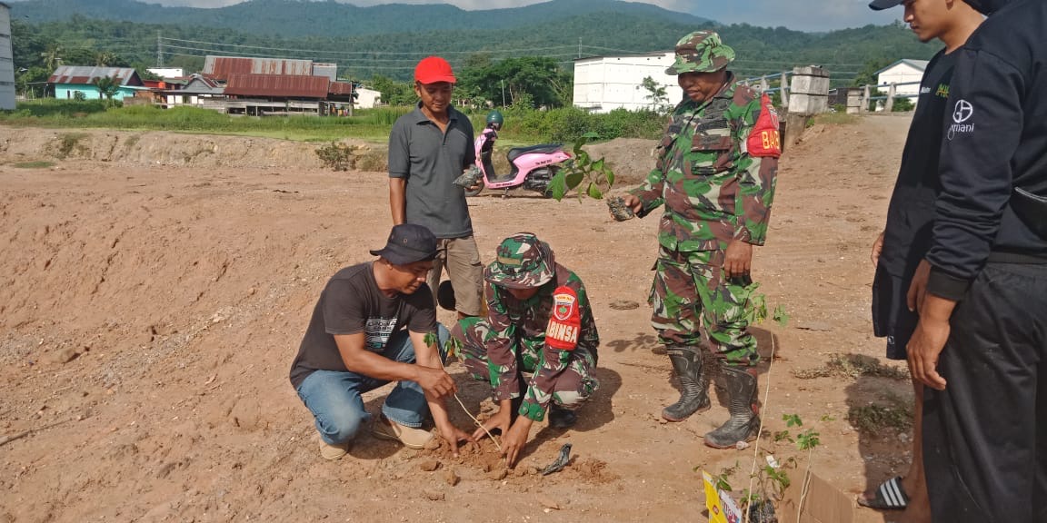 Bersama BPD dan Masyarakat, Babinsa Koramil 01/Rumbia Melaksanakan Penanaman Pohon di Desa Watumentade sebagai Pelindung dan Mencegah Erosi