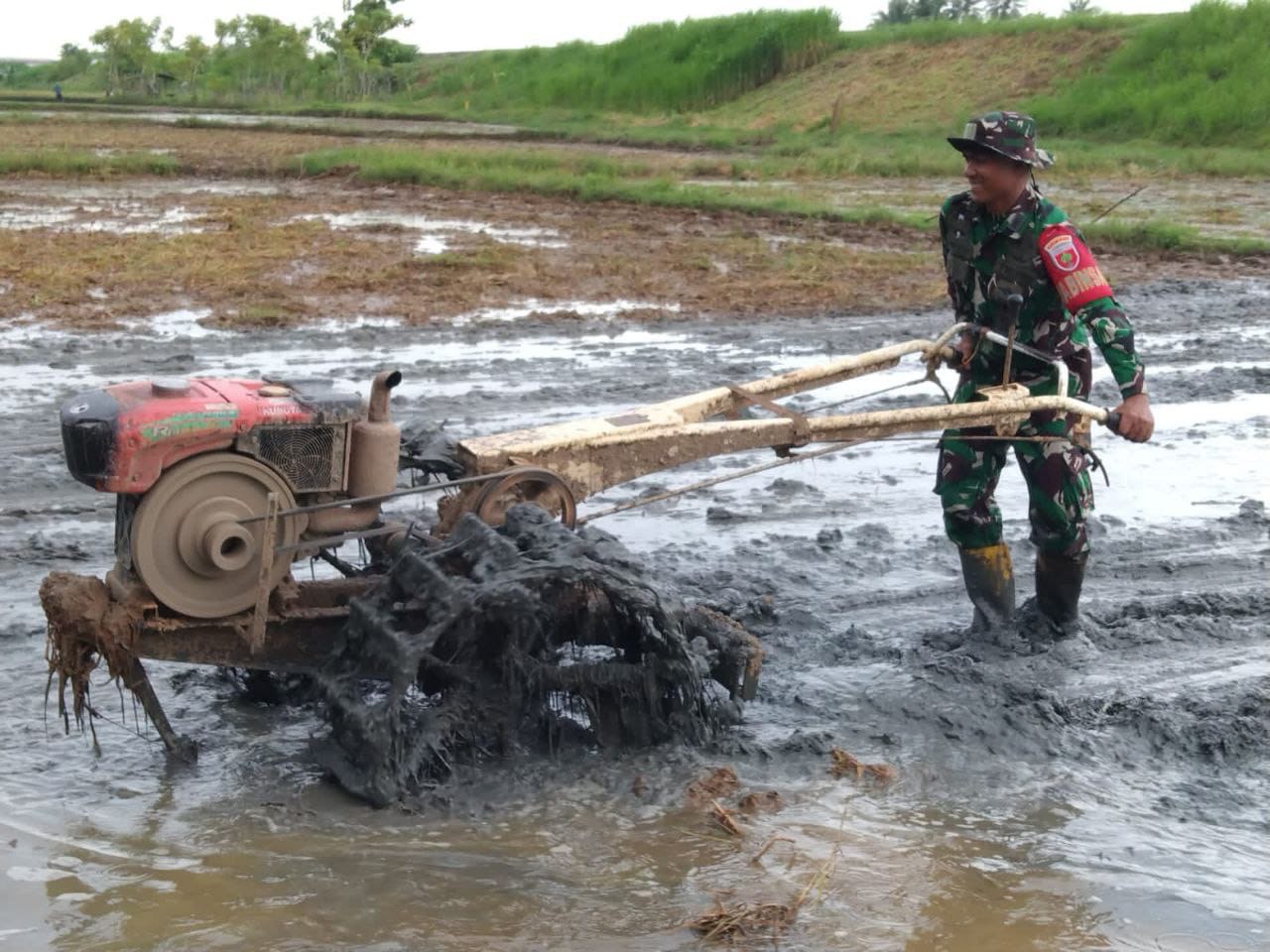 Babinsa Koramil 1405-07/T.Rilau melaksanakan Pendampingan pengolahan sawah