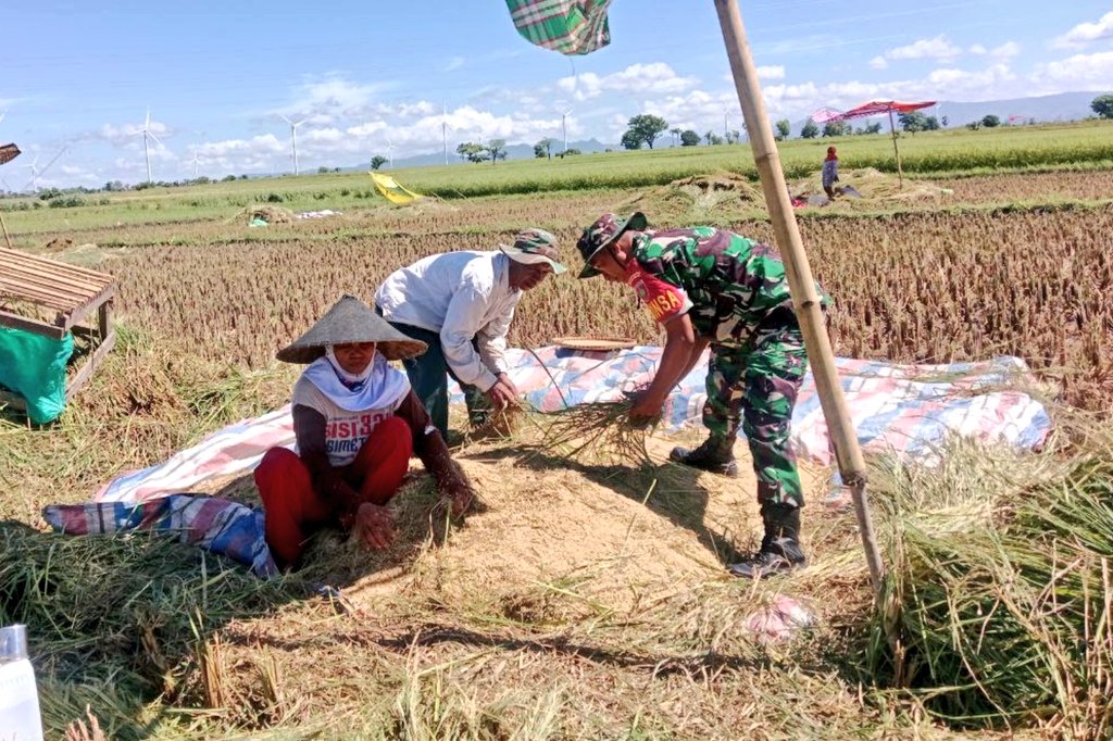 Turun Ke Sawah Lakukan Pendampingan, Ini Pesan Babinsa Kepada Petani