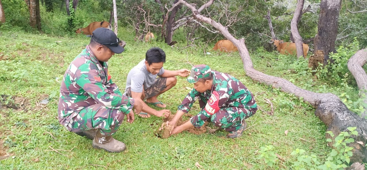 Karya Bakti Tanam Pohon, Babinsa Koramil 02/Kabaena bekerjasama dengan Masyarakat