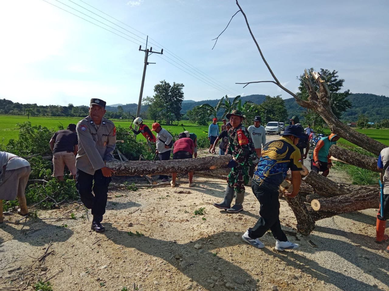 Antisipasi Angin Kencang, Anggota Koramil 1417-06/Unaaha Bersama Masyarakat Tebang Pohon Di Pinggir Jalan