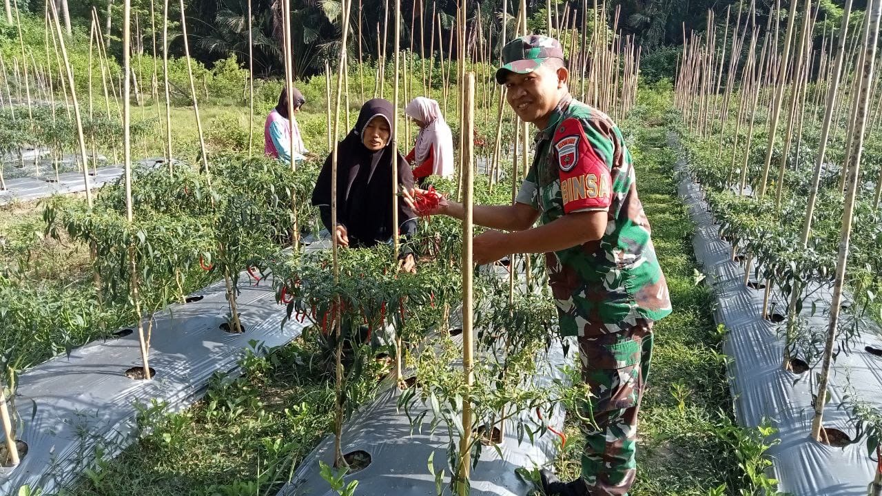 Babinsa Tande Timur Bantu Wujudkan Hanpangan demi Kesejahteraan Masyarakat