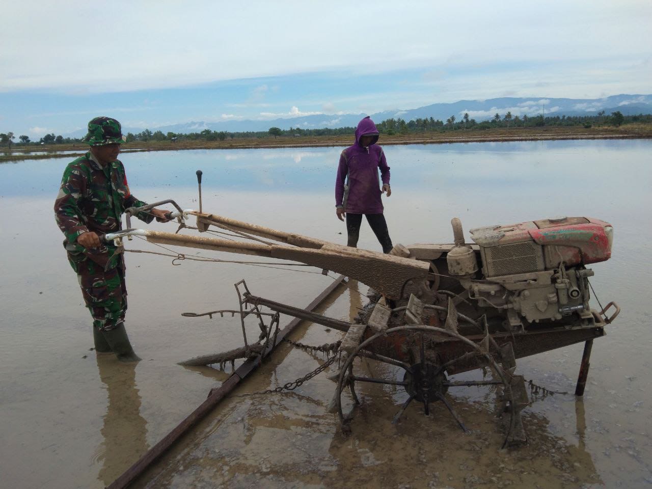 Wujud Kepedulian, Babinsa Kodim 1404/Pinrang Bantu Petani Bajak Sawah