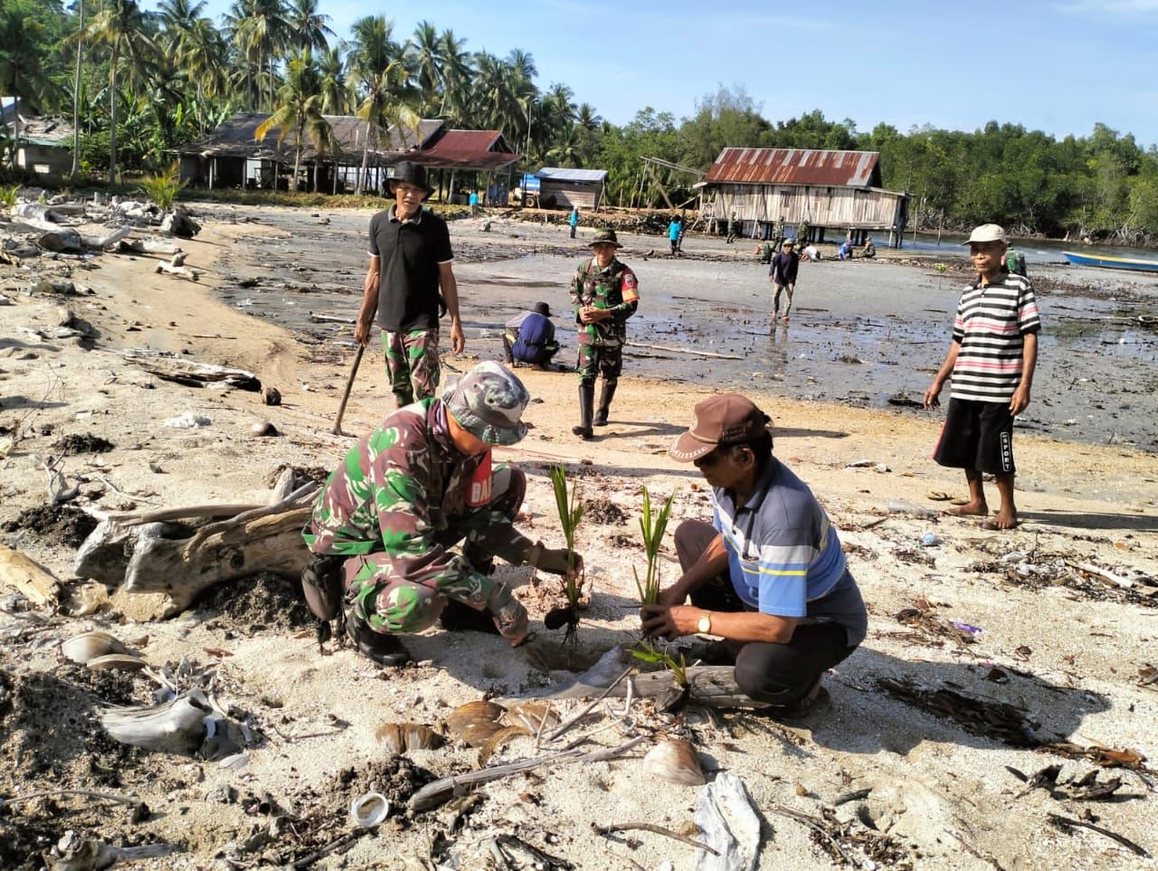 Koramil 1430-01/Lasolo Bersama Warga Puusiambu Menanam Bibit Pohon Kelapa