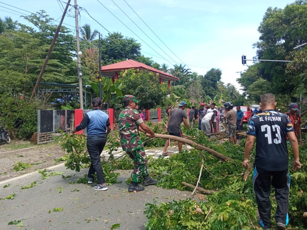 Gerak Cepat Babinsa Maliaya Koramil Malunda Gotong-Royong Bersama Masyarakat Bersihkan Pohon Tumbang