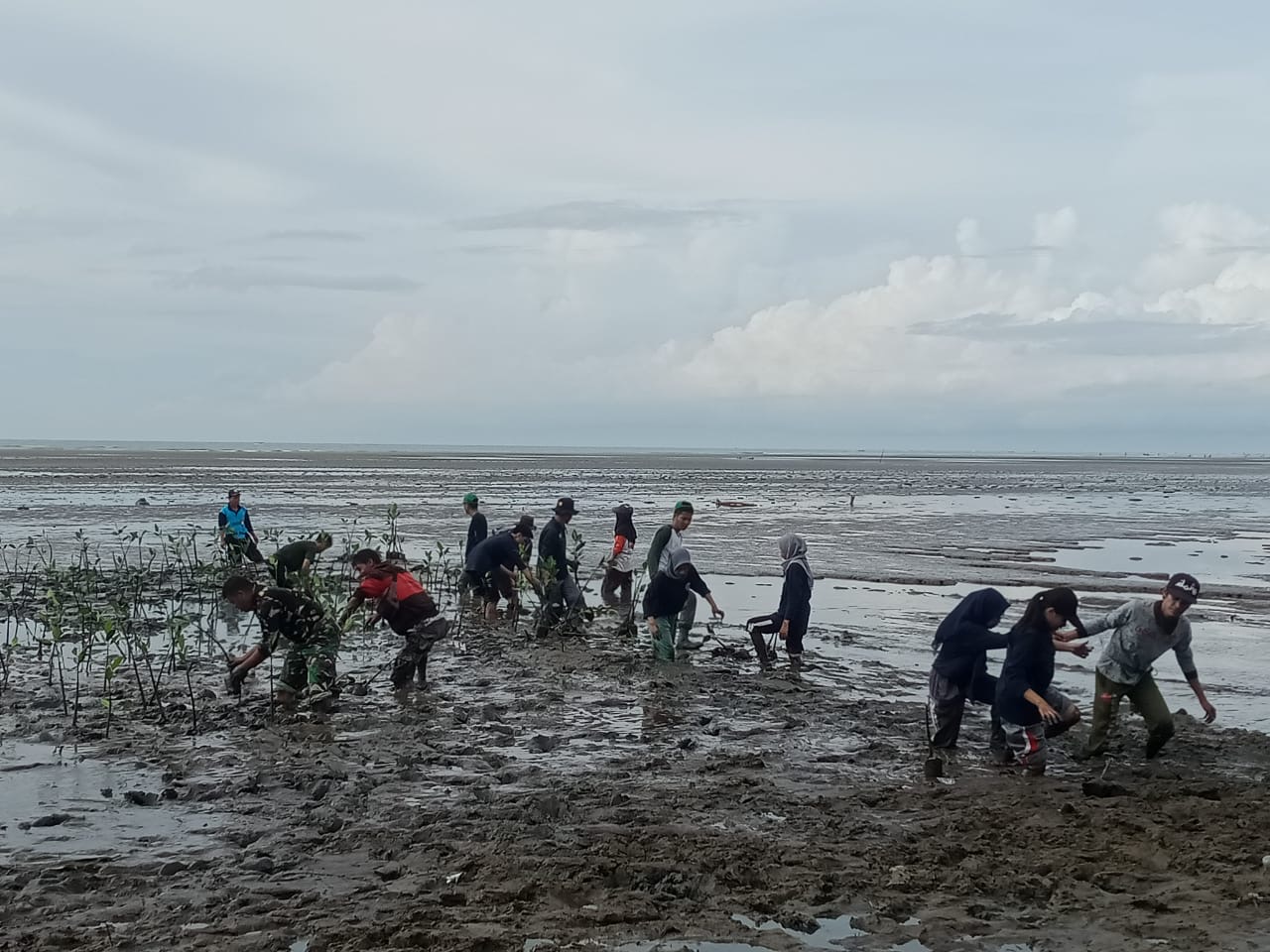Lestarikan Pesisir Pantai, Anggota Kodim 1402/Polman Tanam Mangrove