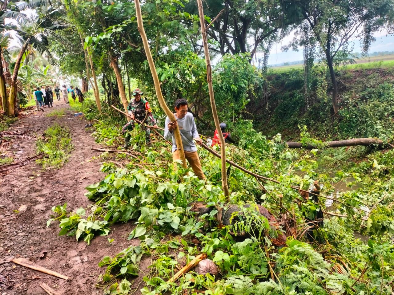 Aksi Nyata Peduli Lingkungan, TNI Bersama Pemerintah Desa Lompulle Bersihkan Sampah Di Aliran Irigasi