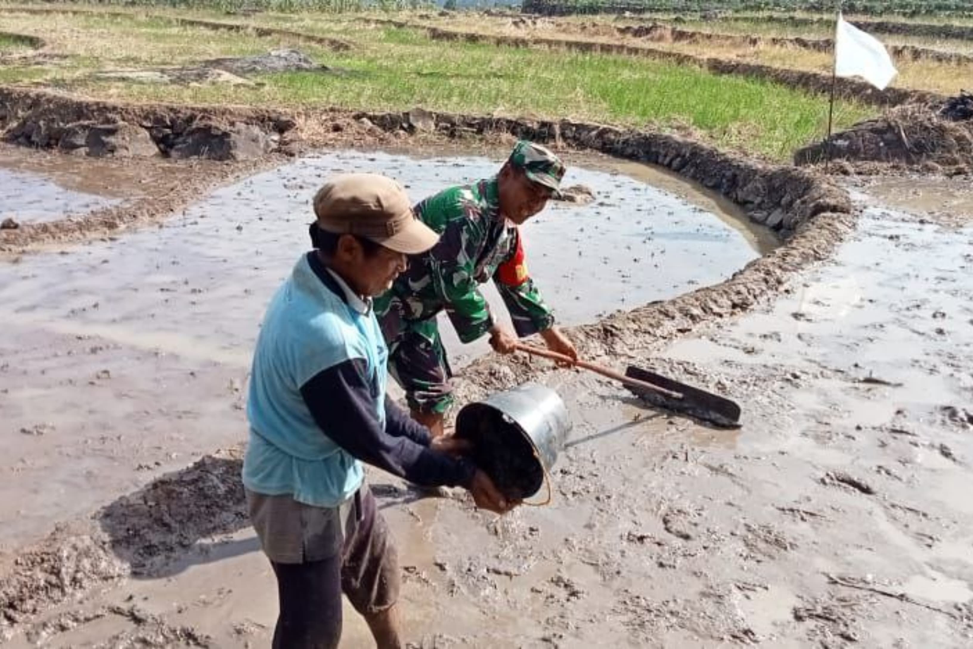 Dampingi Petani, Peran Babinsa Kodim Jeneponto Dukung Program Pemerintah Ciptakan Ketahanan Pangan Wilayah