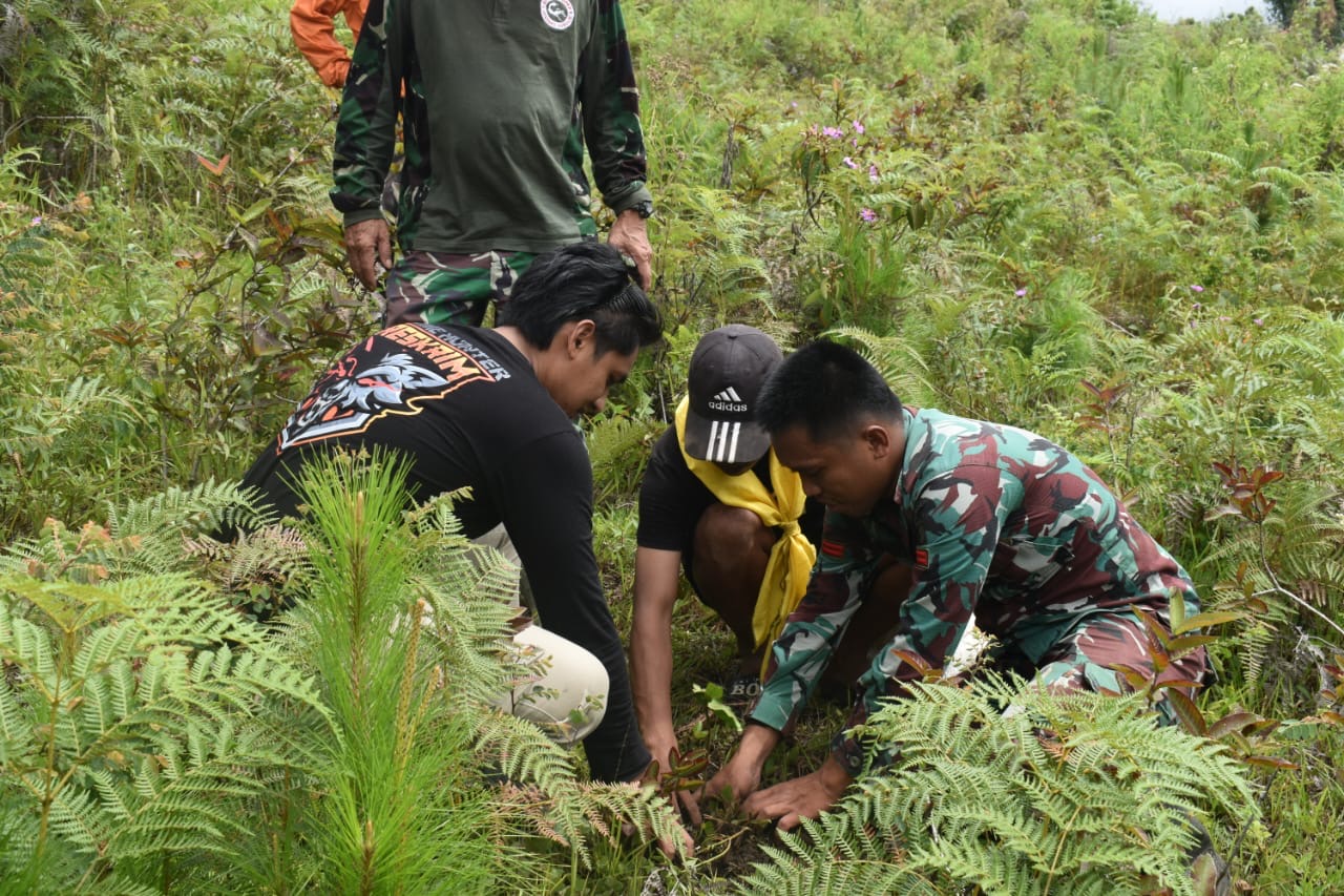 Ciptakan Alam Yang Asri, Kodim 1428/Mamasa melaksanakan penanaman pohon buah