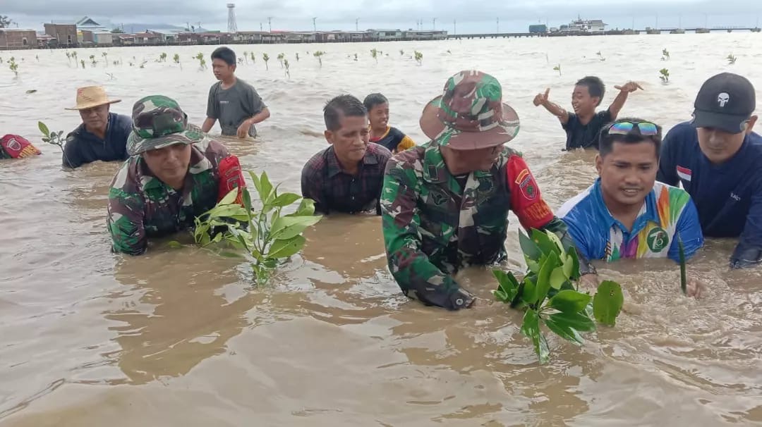 Kodim 1406/Wajo Tanam 200 Pohon Mangrove di Pantai Bangsalae Peringati HUT Ke-67 Kodam XIV/Hsn