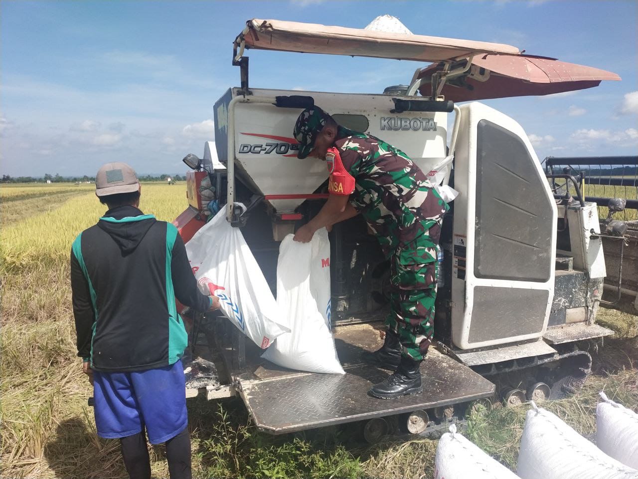 Di Tengah Panen Padi, Babinsa Ranomeeto Sampaikan Hal Ini Kepada Petani