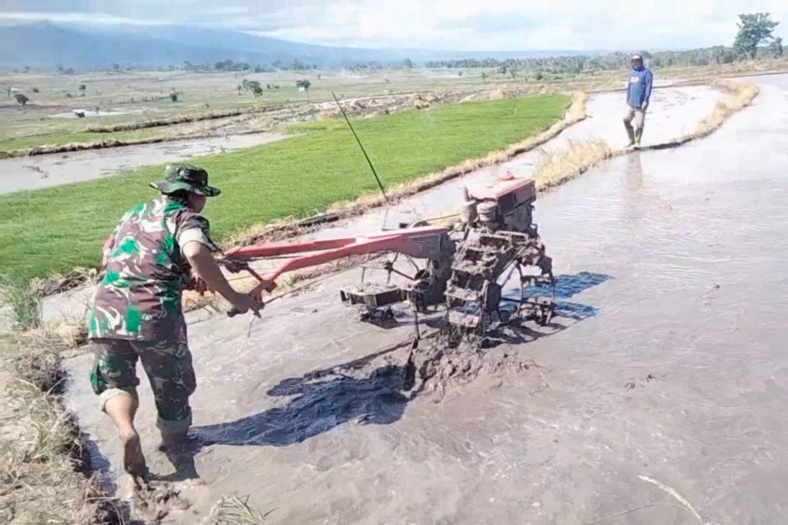 Melalui Babinsa Jajarannya, Kodim 1425 Jeneponto Siap Sukseskan Swasembada Pangan