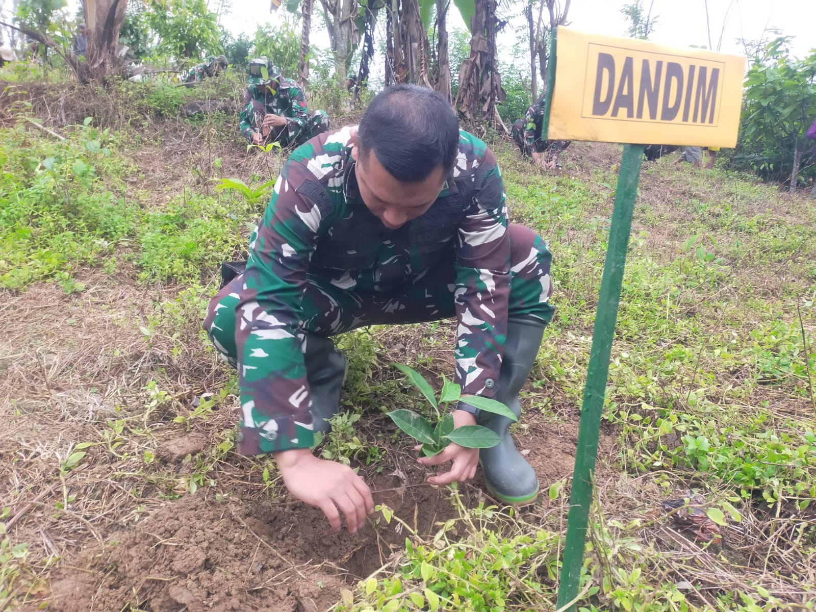 Dandim 1424/Sinjai Mengikuti Vicon Penanaman Pohon Buah Serentak Dalam Rangka Kunjungan Kasad Di Wilayah Kodam XIV/Hsn