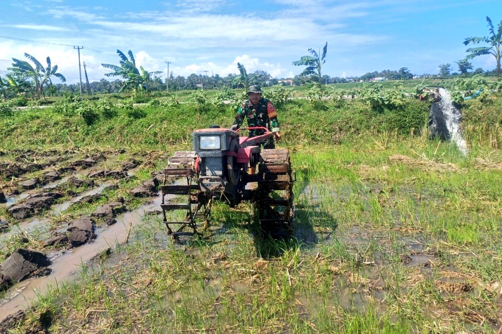 Siapkan Lahan Pertanian, Babinsa Kodim Jeneponto Dampingi Dan Bantu Petani Garap Sawah