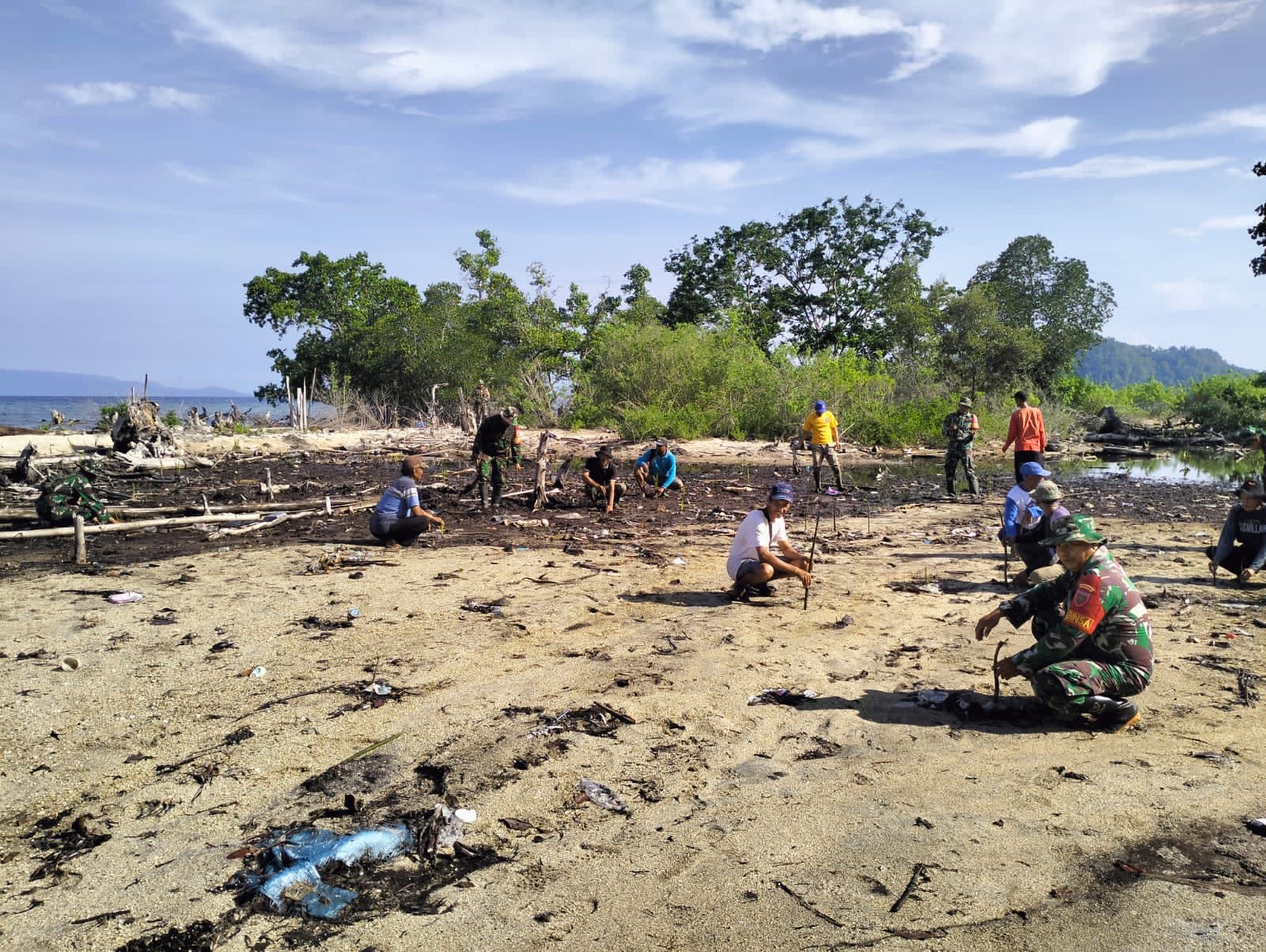 Kodim 1430/Konut Karya Bakti tanam pohon mangrove di Desa Pasir Putih
