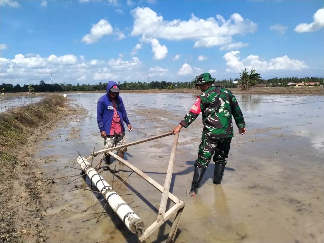 Babinsa Koramil 1406-02/Tanasitolo Dukung Percepatan Tanam Padi di Kelurahan Baru Tancung