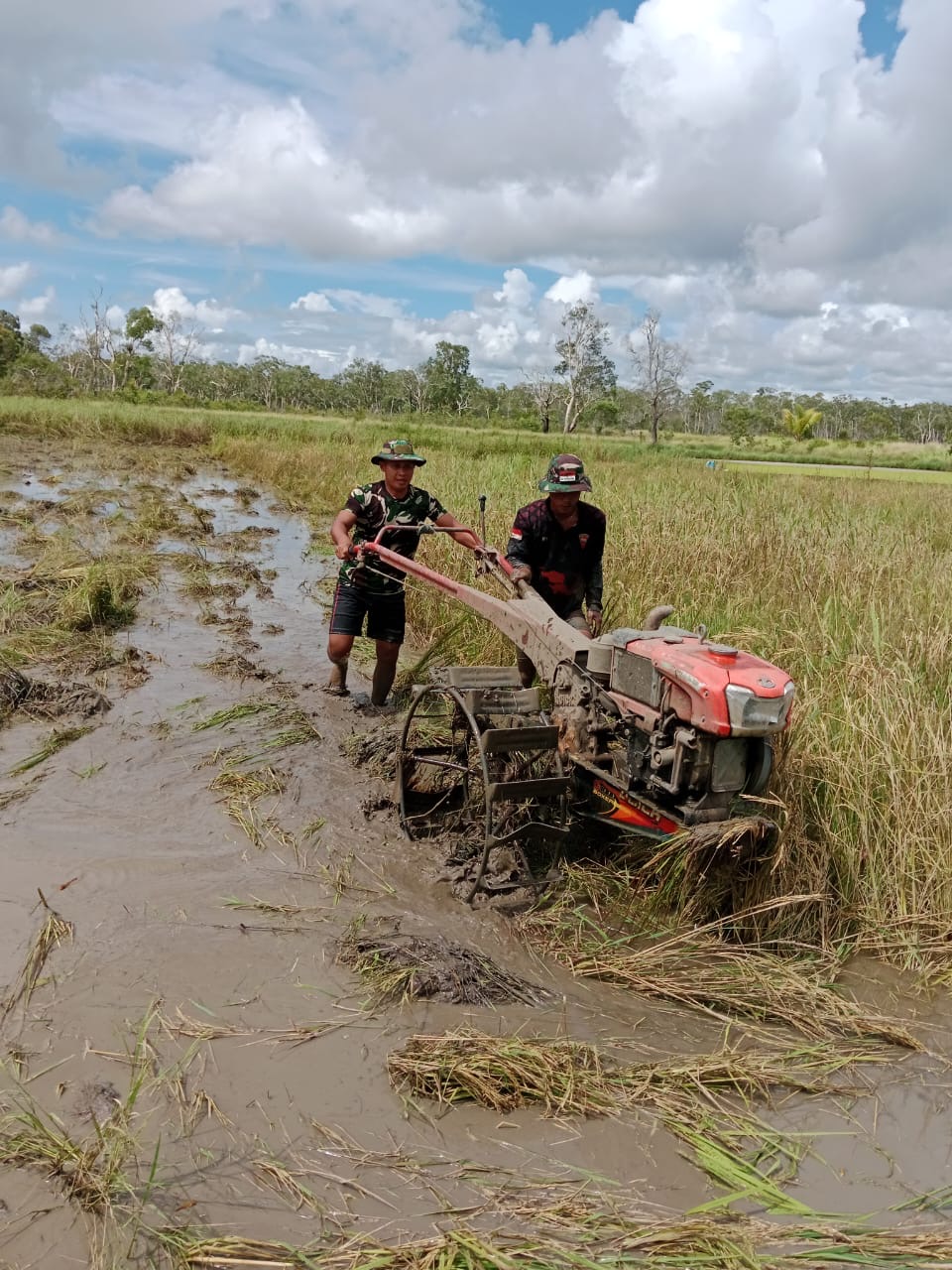 Demi Hasilkan Pundi-Pundi Rupiah, Satgas Tamalatea Ajak Warga Perbatasan Manfaatkan Lahan Kosong
