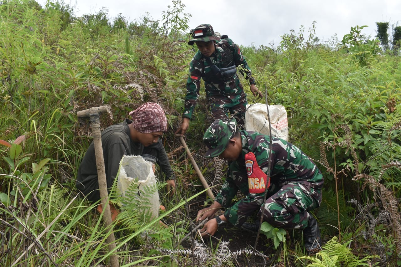 Menjaga kelestarian Alam Koramil Mamasa berinisiatif mengajak masyarakat menanam pohon