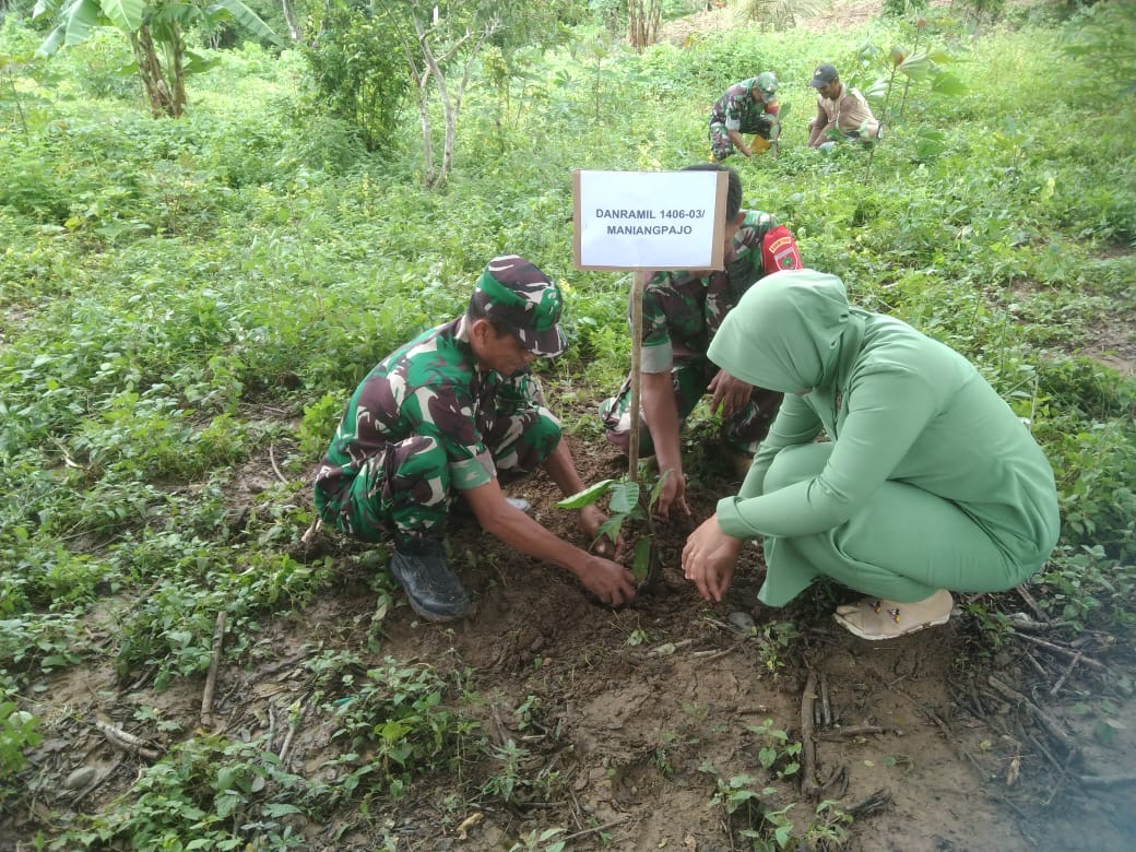 Dukung Ketahanan Pangan Nasional, KASAD dan Ketua Umum Persit Tanam Pohon Buah Serentak di Wajo