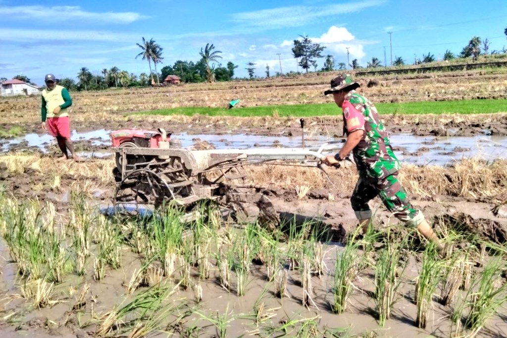 Dengan Alat Hand Traktor, Babinsa Kodim Jeneponto Bantu Petani Menggarap Sawah
