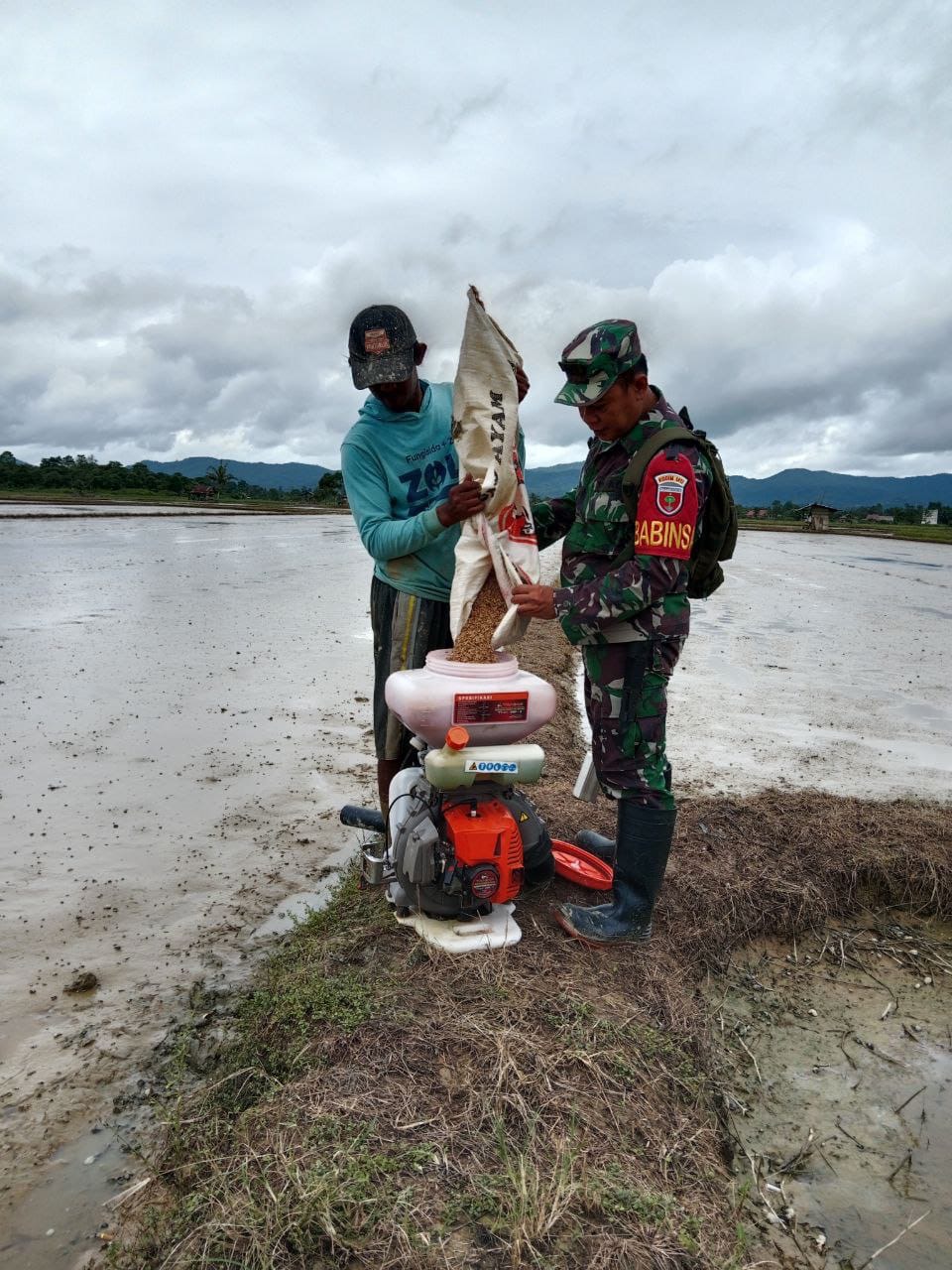 Di Lahan Seluas 3.5 Ha, Babinsa Ranomeeto Dampingi Poktan Mokora Meindio Tanam Benih Padi