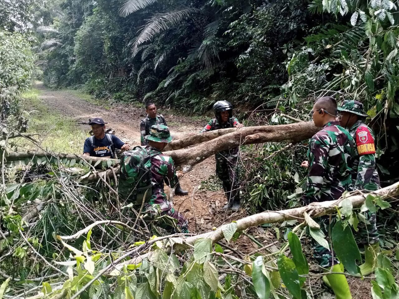 Pohon Tumbang Pasca Longsor Tak Menghalangi Dandim 1420/Sidrap dan Jajaran Cek Lokasi Jembatan Putus