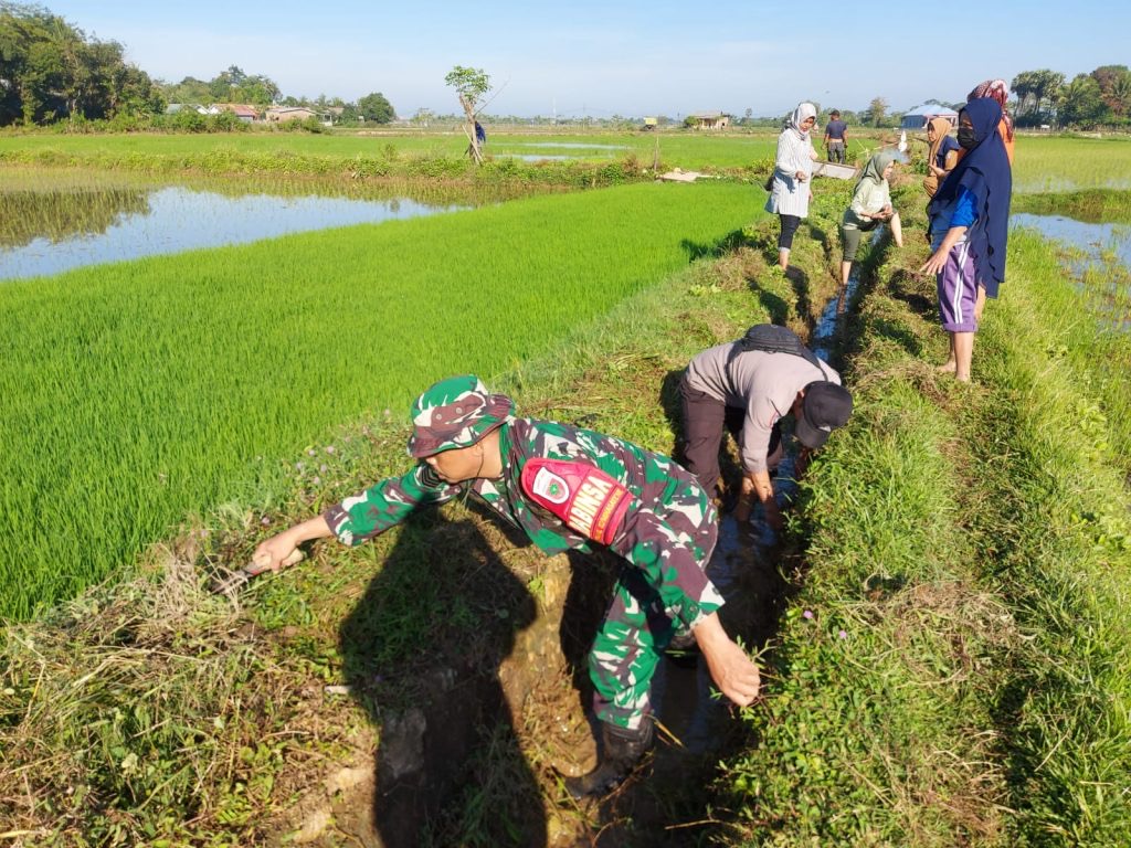 Guna Mencegah Terjadinya Banjir Babinsa Koramil 1421-02/Minasatene Bersama Masyarakat Melaksanakan Kerja Bakti.