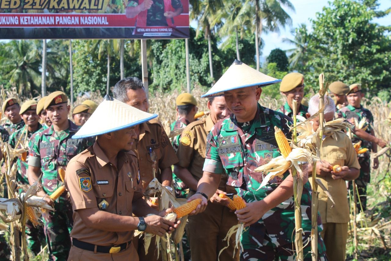 Yonarmed 21/Kawali Gelar Panen Raya Jagung