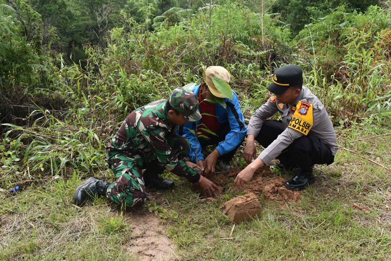Kodim 1428/Mamasa melaksanakan penanaman pohon dalam rangka HUT ke-67 Kodam XIV/Hasanuddin