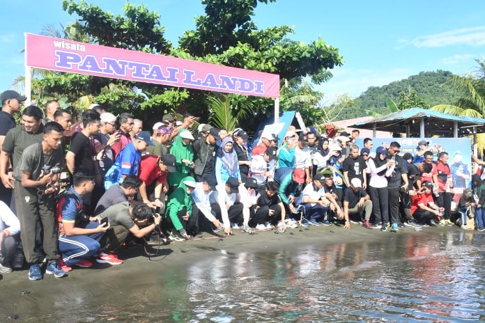 Peringati Hari laut Sedunia, Danrem 142/Tatag Bersama Forkopimda Sulbar Lepas Tukik Dan Drum untuk menjaga Ekosistem Laut