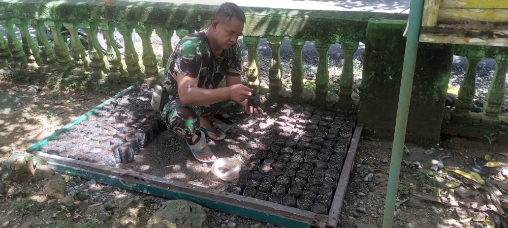 Koramil 1411-06/Bontotiro Menyiapkan 200 Bibit Pohon untuk Penghijauan