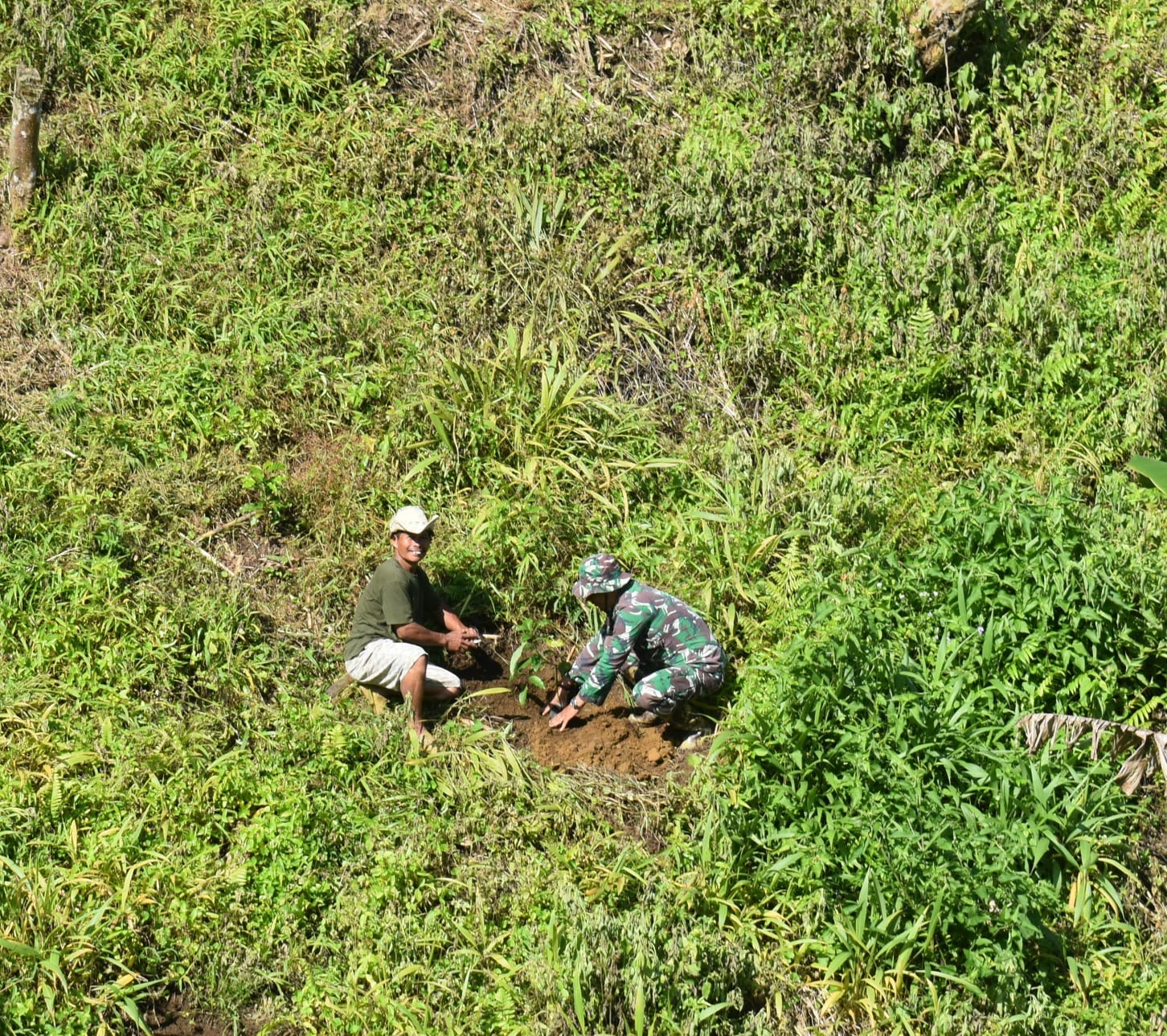 Dukung Penghijauan Di Wilayah Binaan, Babinsa Koramil Sumarorong Laksanakan Penanaman Pohon