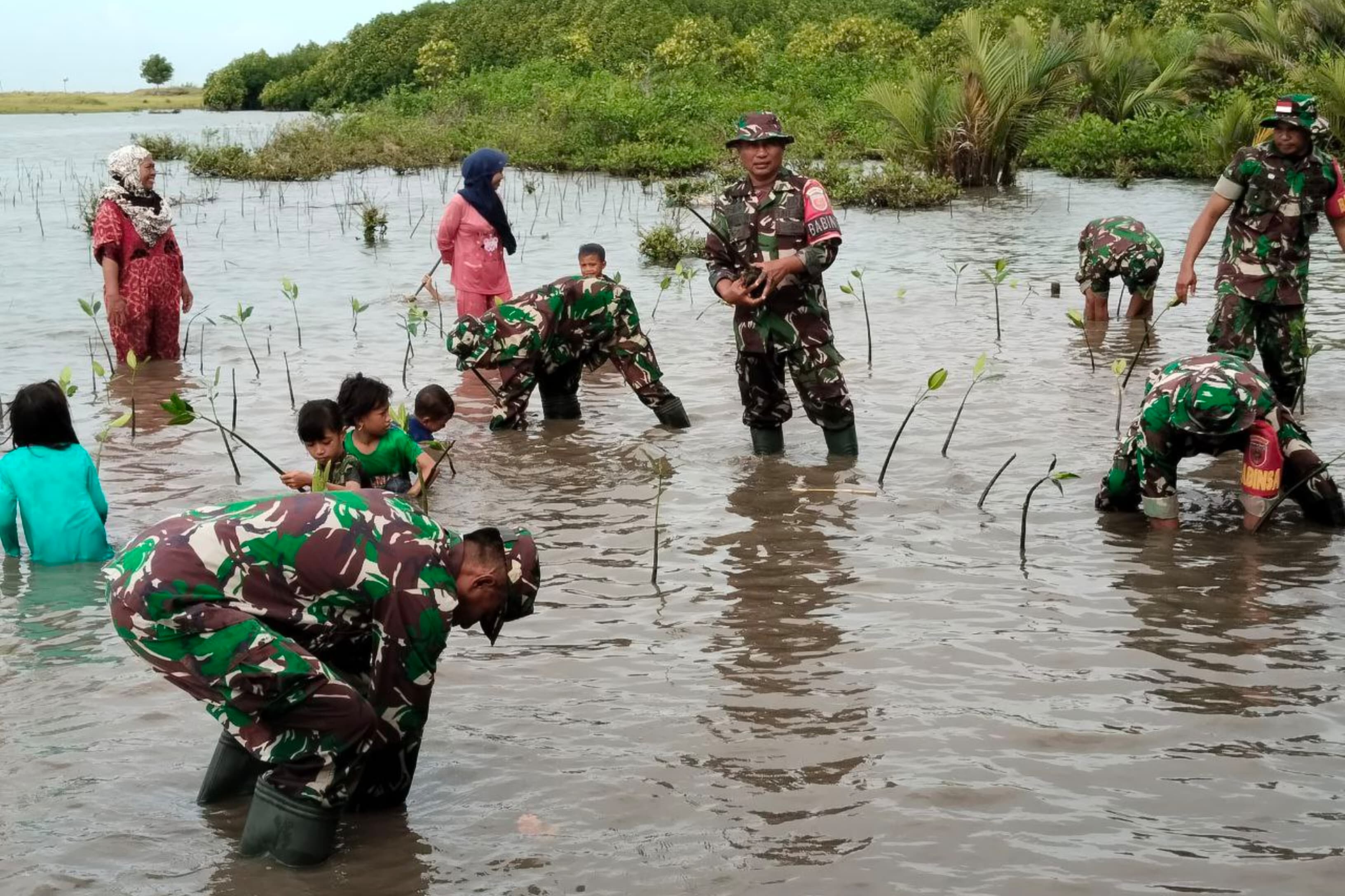 Lestarikan Lingkungan Hidup, Koramil Binamu Gelar Karya Bakti Penanaman Pohon Mangrove