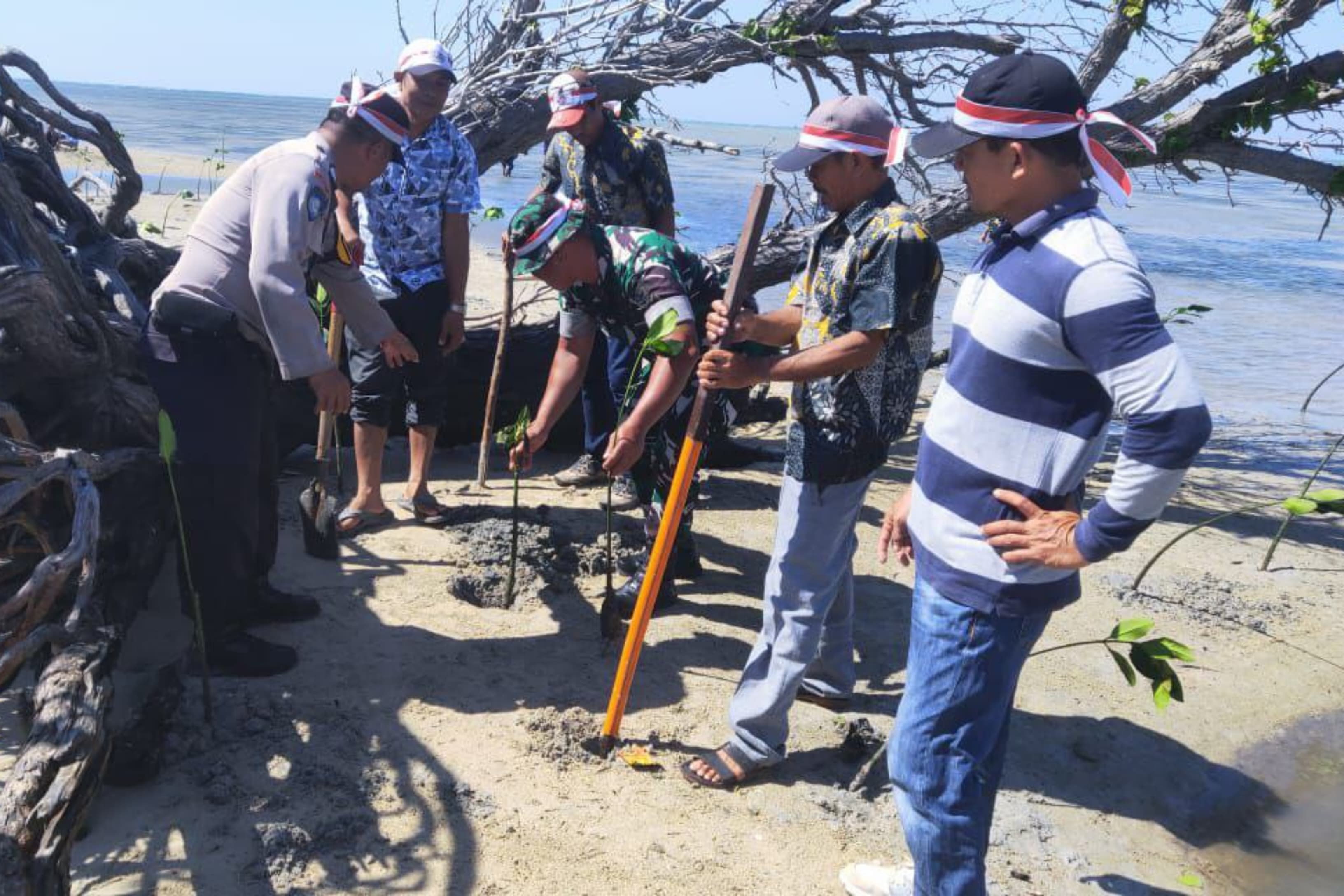TNI Polri Bersinergi Jaga Kelestarian Alam, Babinsa Koramil Batang Hadiri Pananaman Bibit Pohon Mangrove